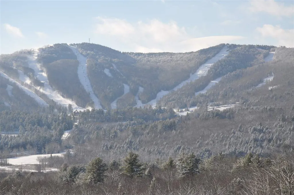 63.1 Seaward Drive Danbury NH 03230