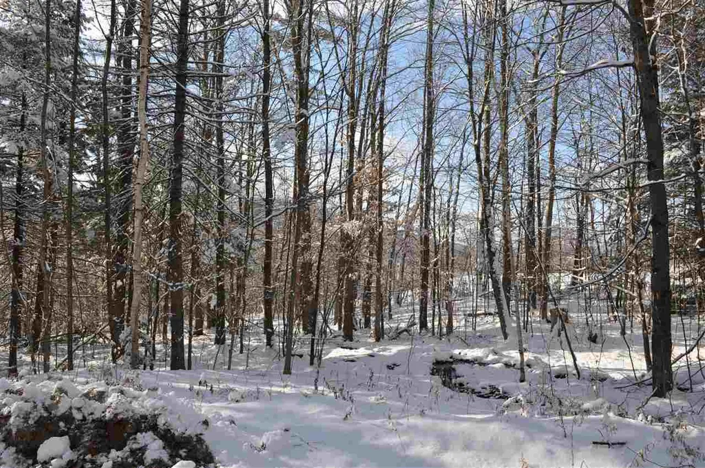 63.1 Seaward Drive Danbury NH 03230