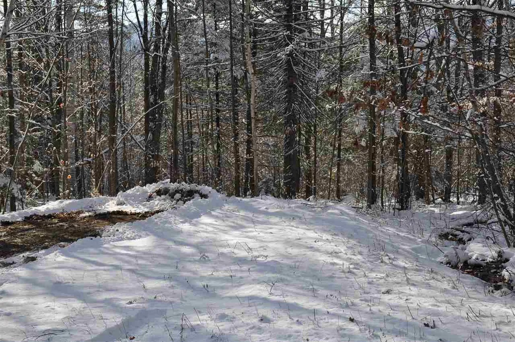 63.1 Seaward Drive Danbury NH 03230