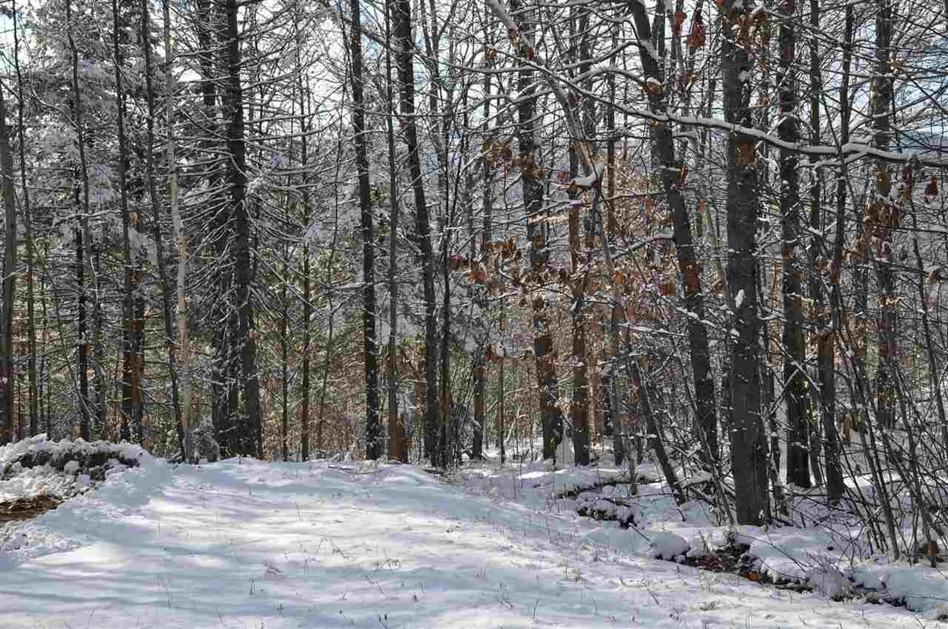 63.1 Seaward Drive Danbury NH 03230