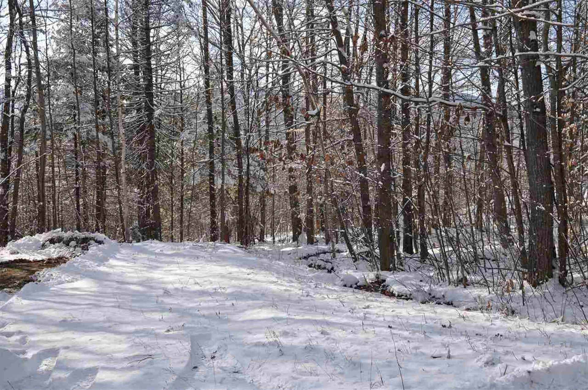 63.1 Seaward Drive Danbury NH 03230