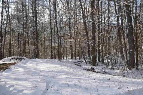 63.1 Seaward Drive Danbury NH 03230