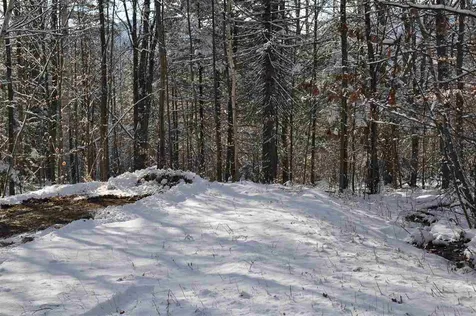 63.1 Seaward Drive Danbury NH 03230