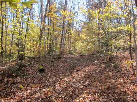 Th #11 Off Of Mecawee Road Reading VT 05062