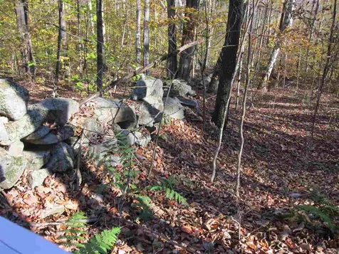 Th #11 Off Of Mecawee Road Reading VT 05062