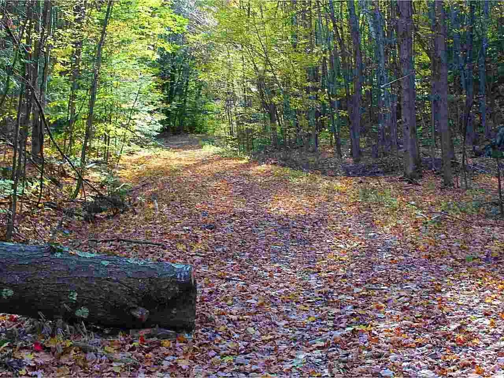 100 Brigham Hill Road Essex VT 05452