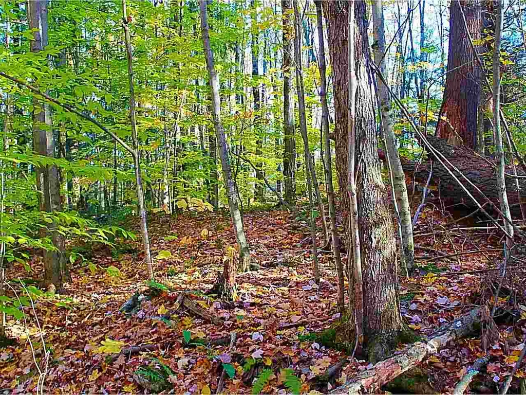 100 Brigham Hill Road Essex VT 05452