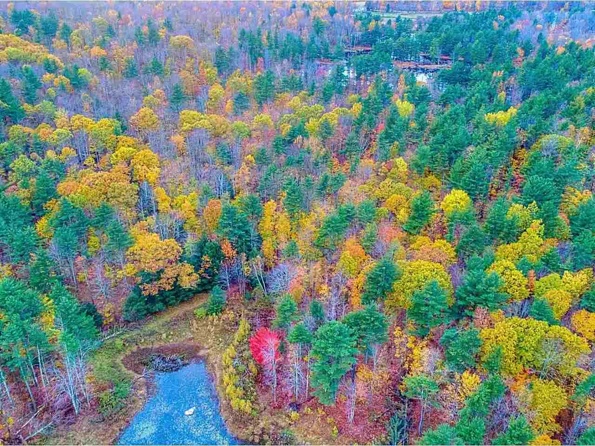 100 Brigham Hill Road Essex VT 05452