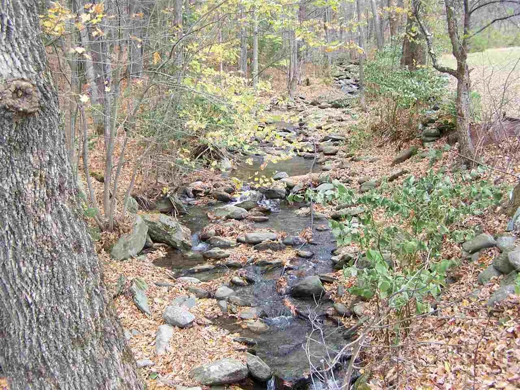 1665 Rabbit Hollow Road Northfield VT 05663