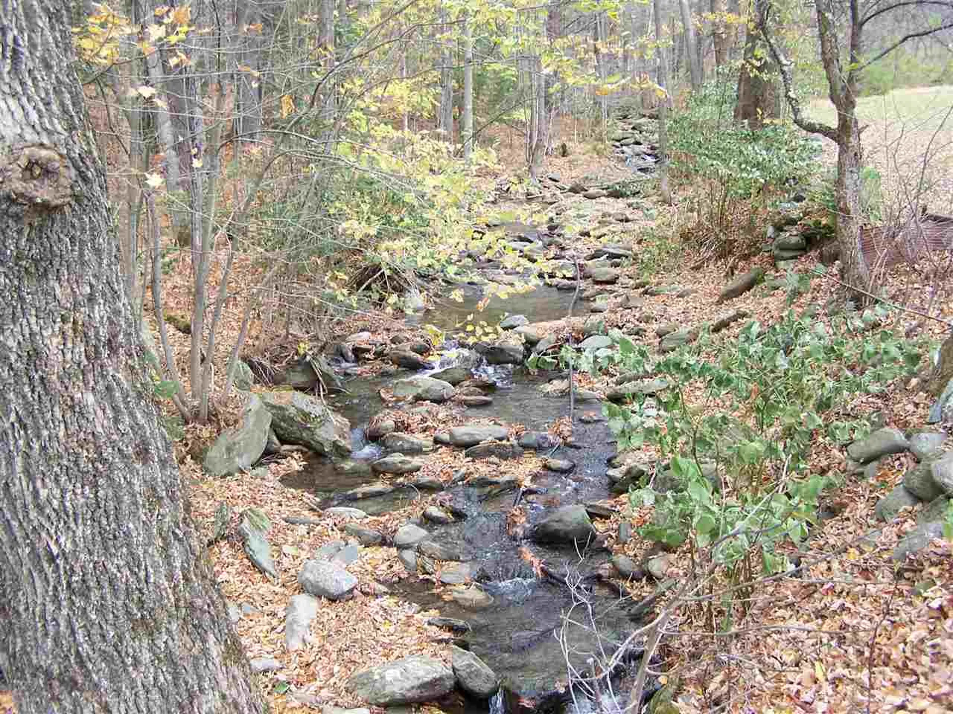 1665 Rabbit Hollow Road Northfield VT 05663