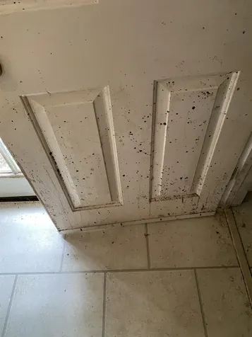 62 Lawton Drive Brattleboro VT 05301