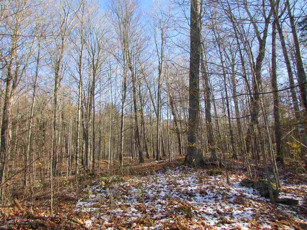 450 Whetstone Brook Road Craftsbury VT 05826