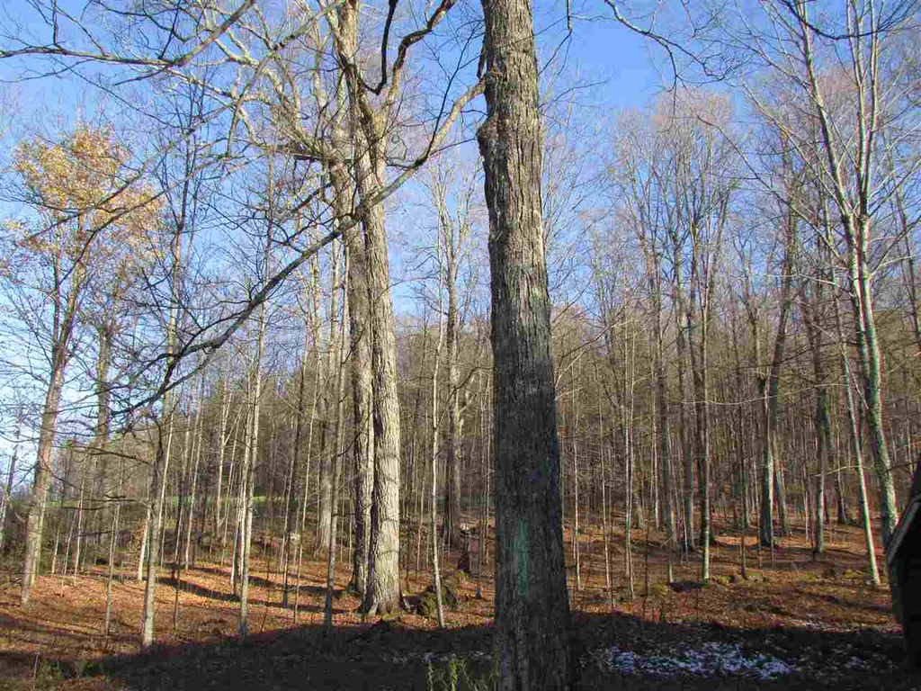 450 Whetstone Brook Road Craftsbury VT 05826