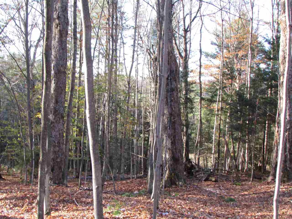 450 Whetstone Brook Road Craftsbury VT 05826