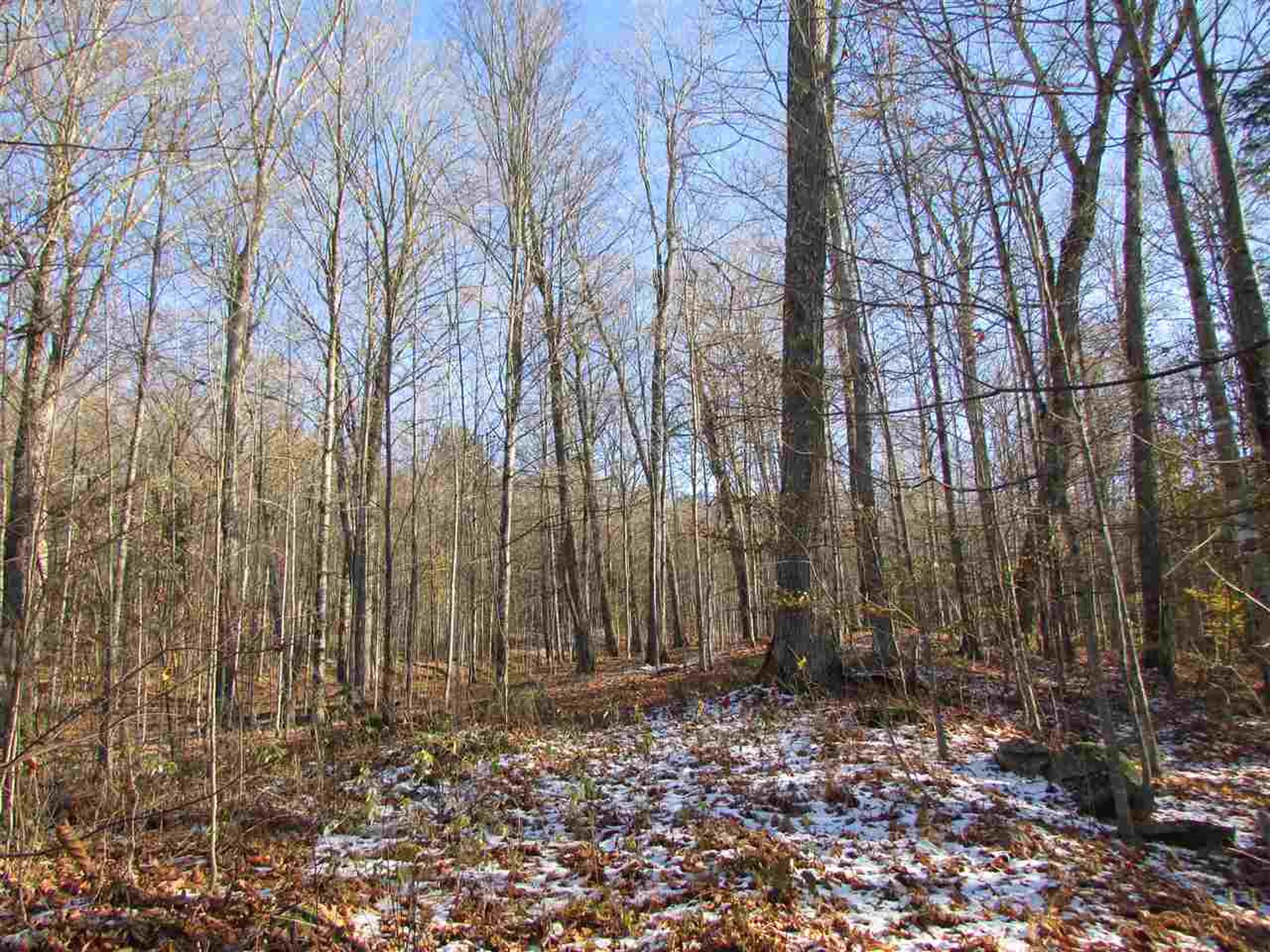 450 Whetstone Brook Road Craftsbury VT 05826