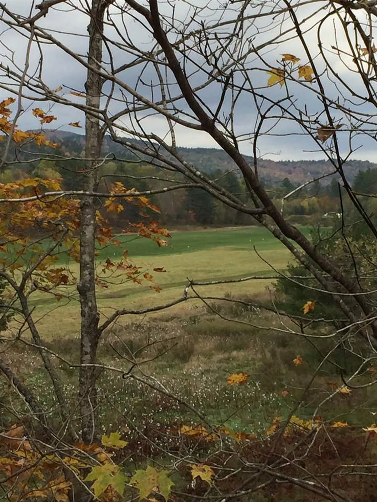 95 E Side Road Wentworth NH 03282