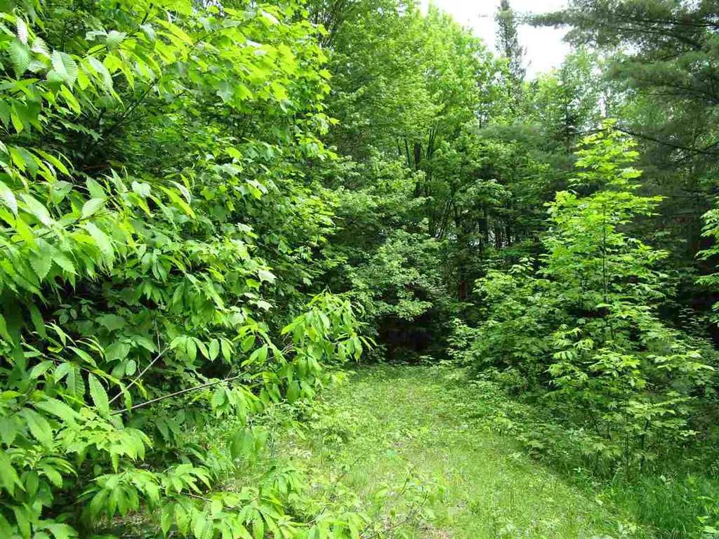 0 Quarry Road Kirby VT 05851