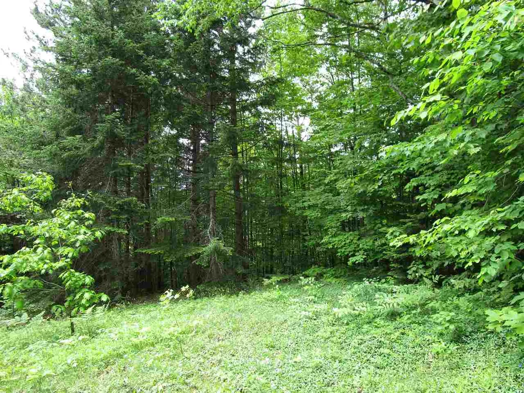 0 Quarry Road Kirby VT 05851
