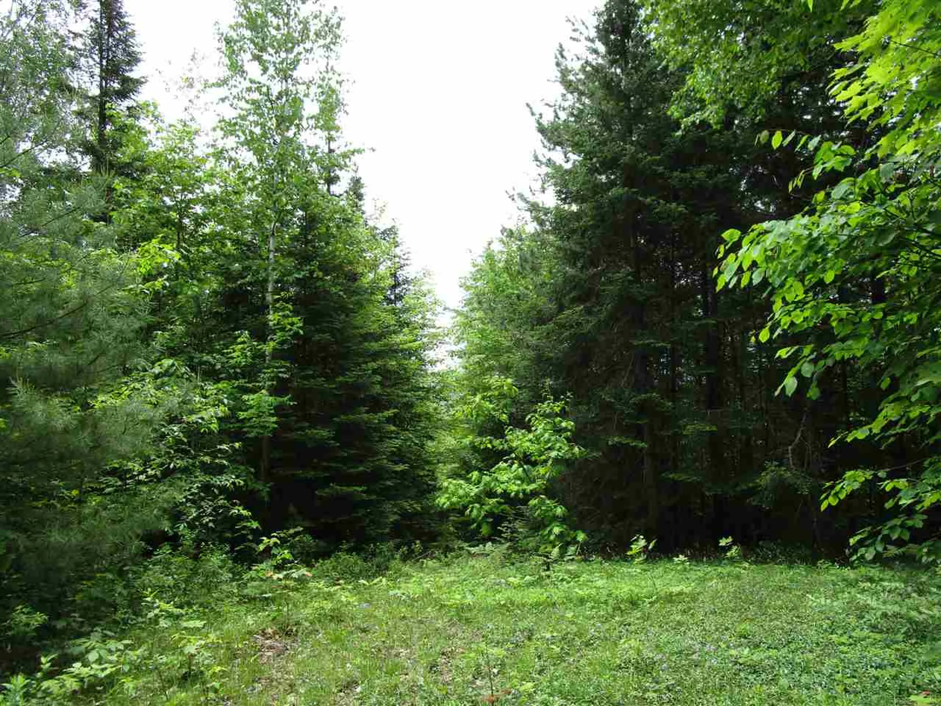 0 Quarry Road Kirby VT 05851