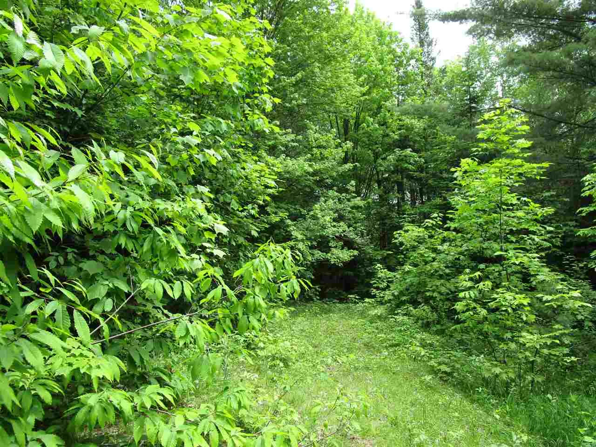 0 Quarry Road Kirby VT 05851