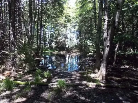 3 Country Club Road Wilmington VT 05363