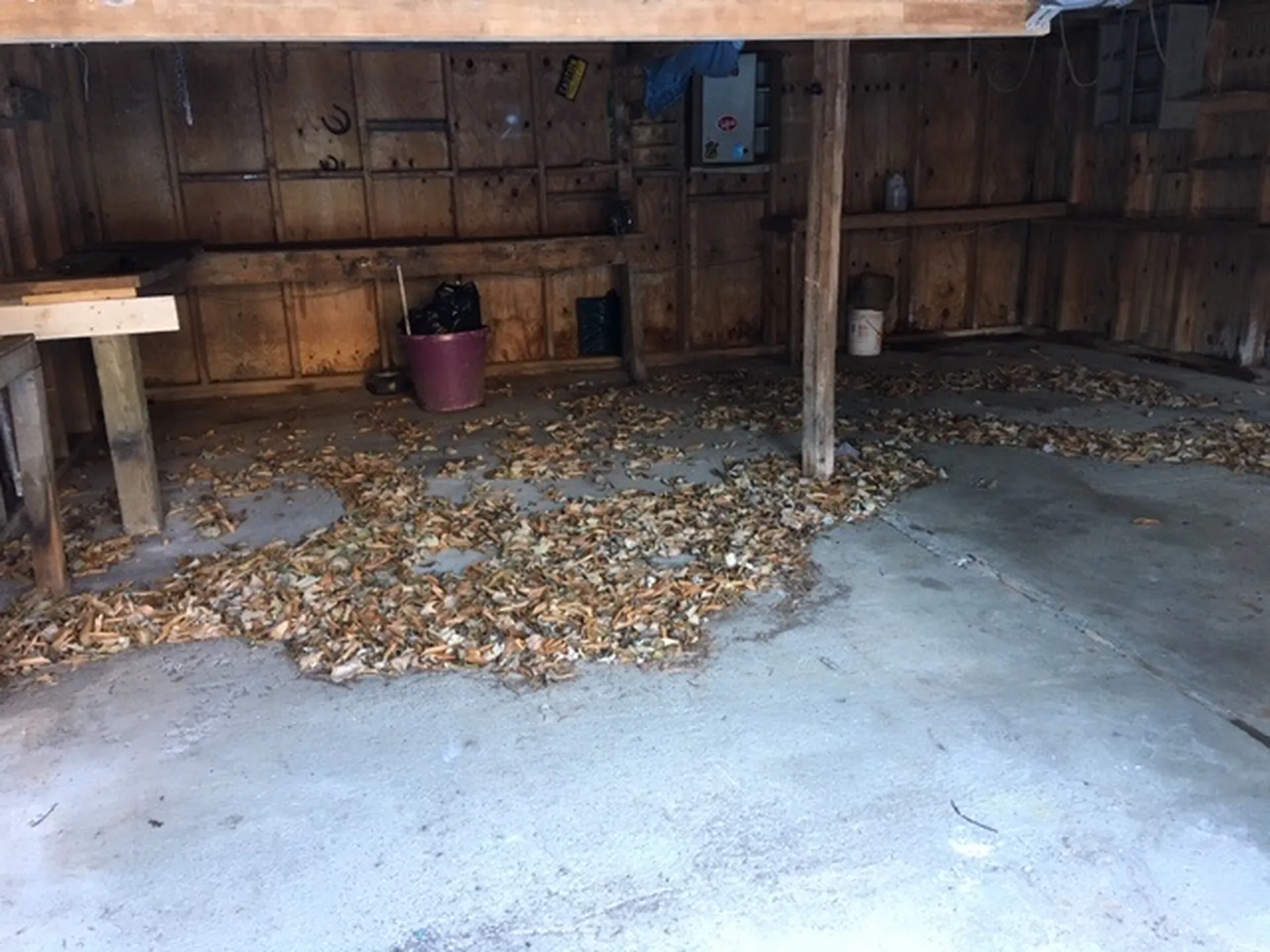 668 South Street Middletown Springs VT 05757
