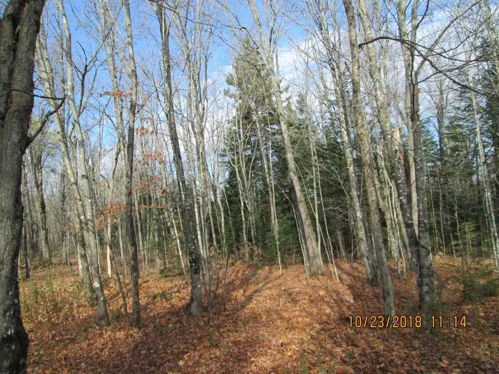 Lot 2 Canaan Hill Road Averill VT 05901