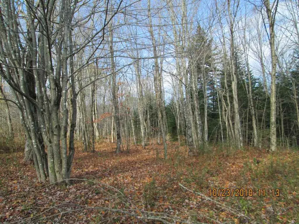 Lot 2 Canaan Hill Road Averill VT 05901