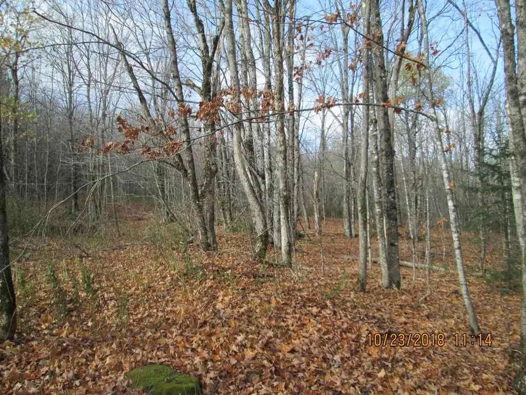 Lot 2 Canaan Hill Road Averill VT 05901