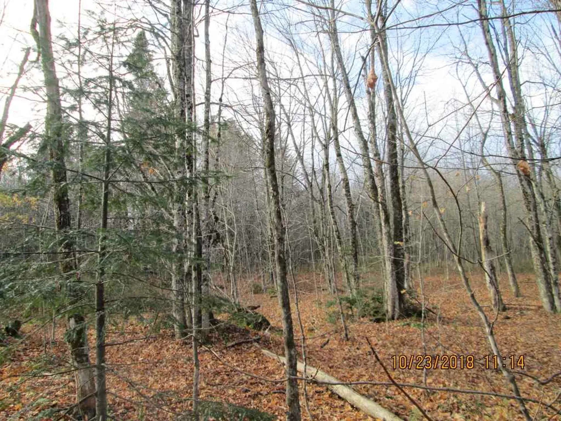 Lot 2 Canaan Hill Road Averill VT 05901