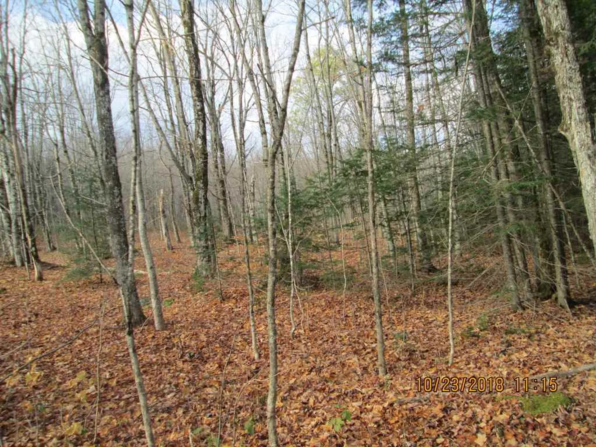 Lot 2 Canaan Hill Road Averill VT 05901