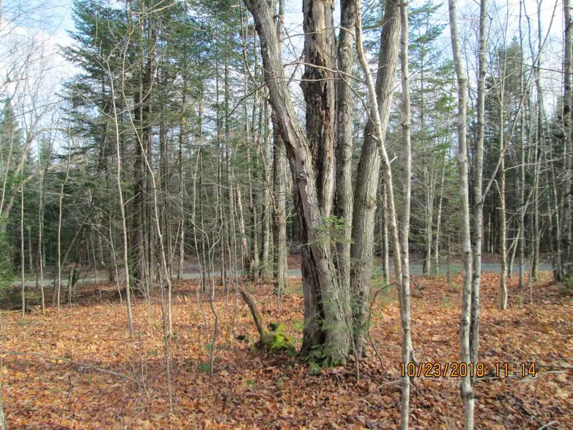 Lot 2 Canaan Hill Road Averill VT 05901