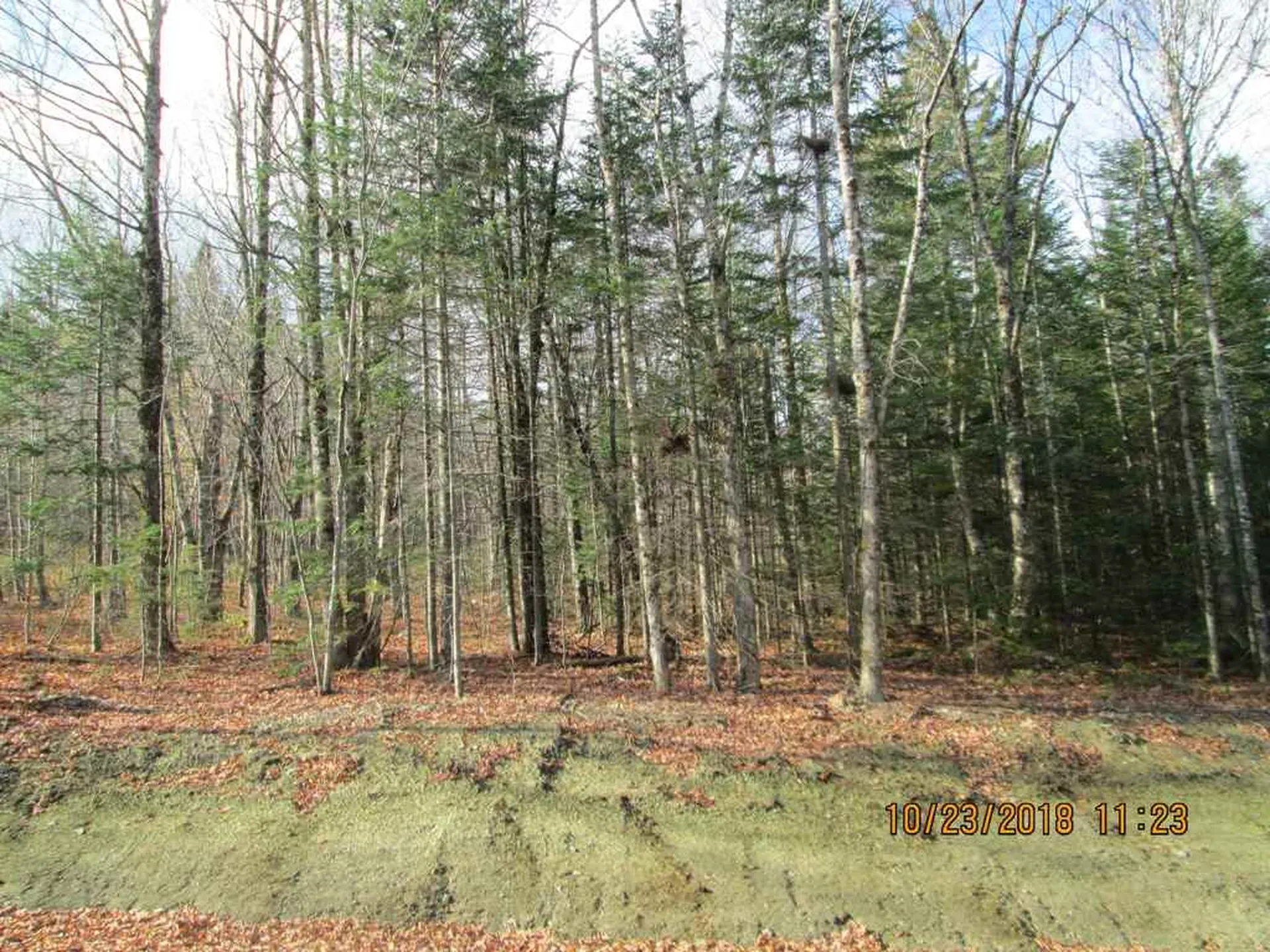 Lot 2 Canaan Hill Road Averill VT 05901