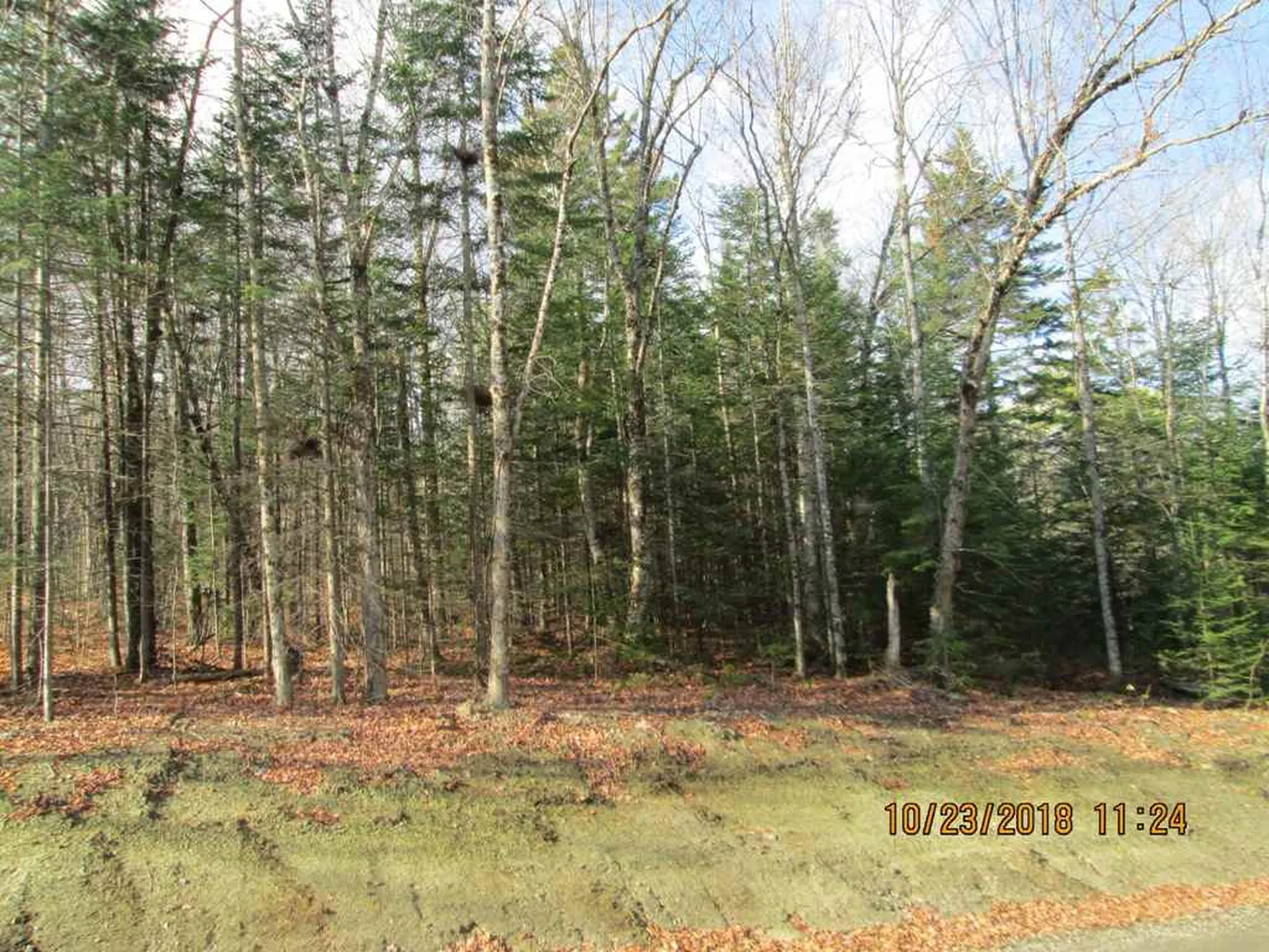 Lot 2 Canaan Hill Road Averill VT 05901