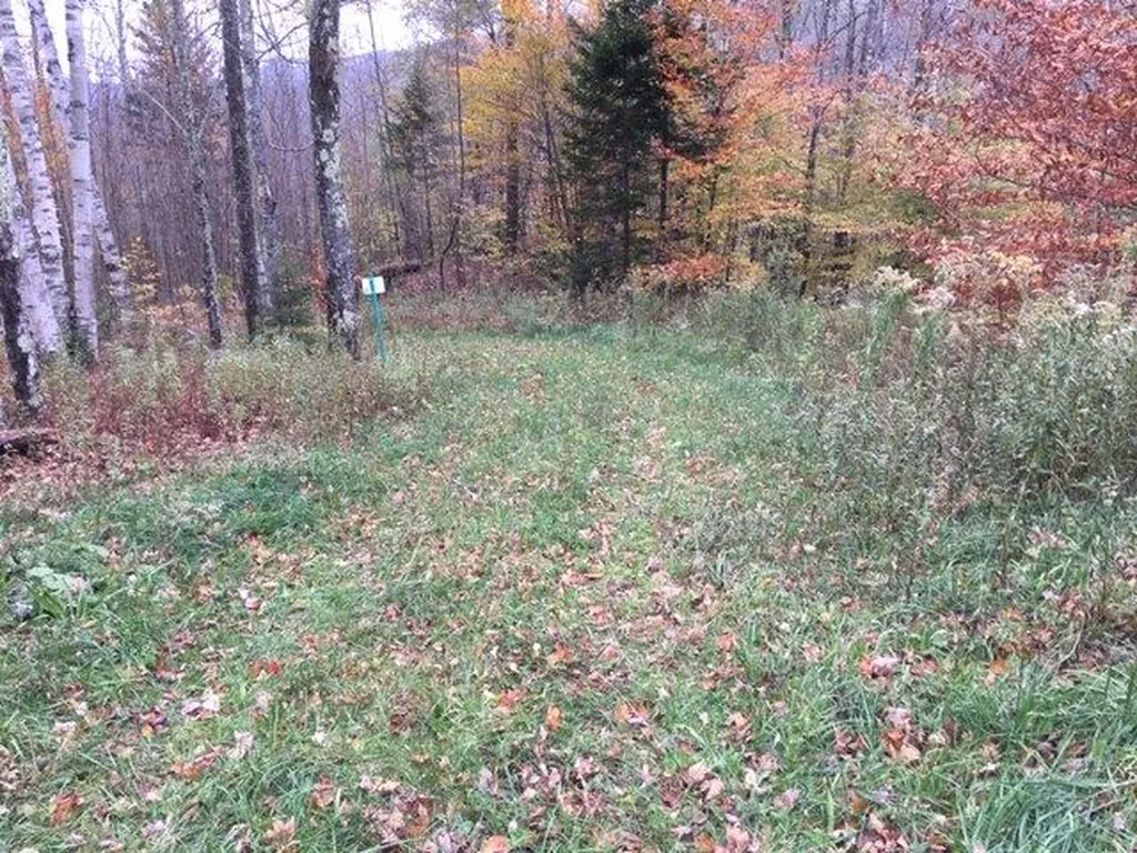 38 Laber Road Bridgewater VT 05034