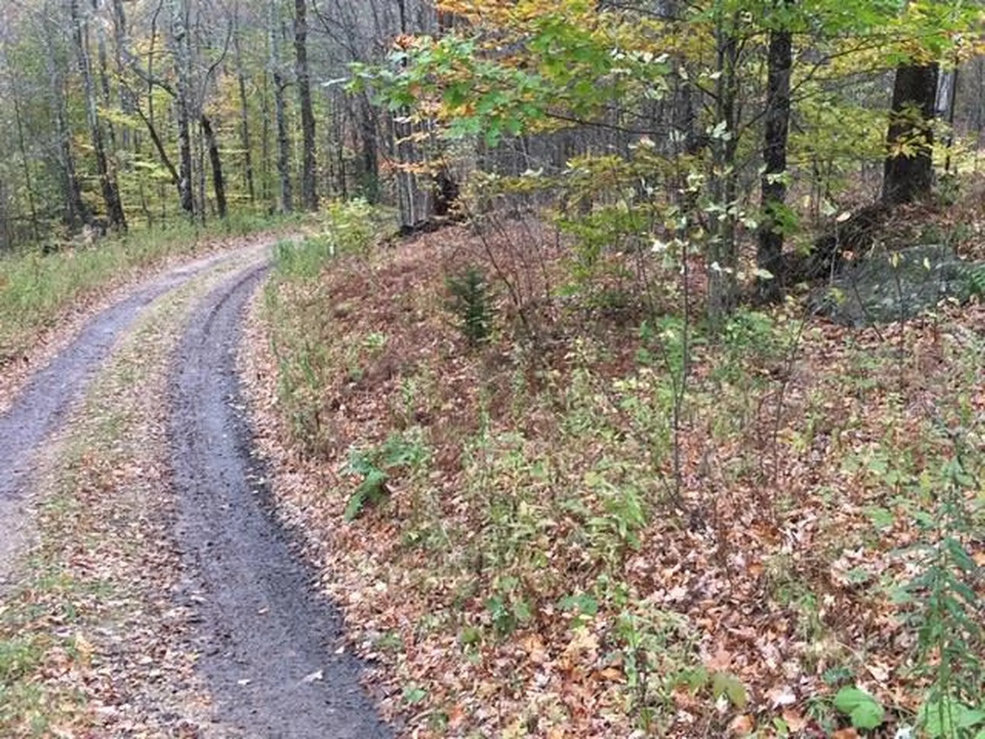 38 Laber Road Bridgewater VT 05034