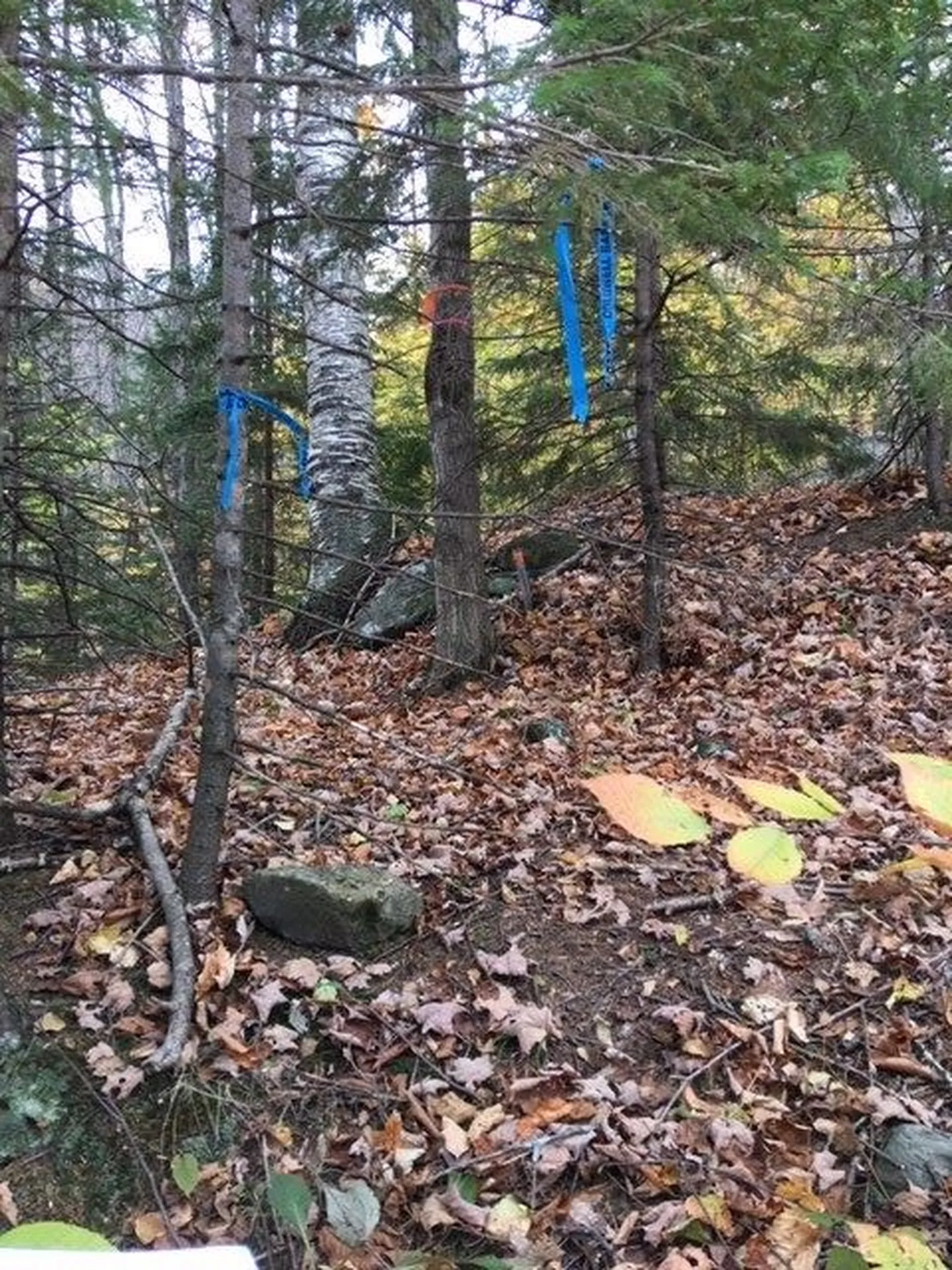 38 Laber Road Bridgewater VT 05034