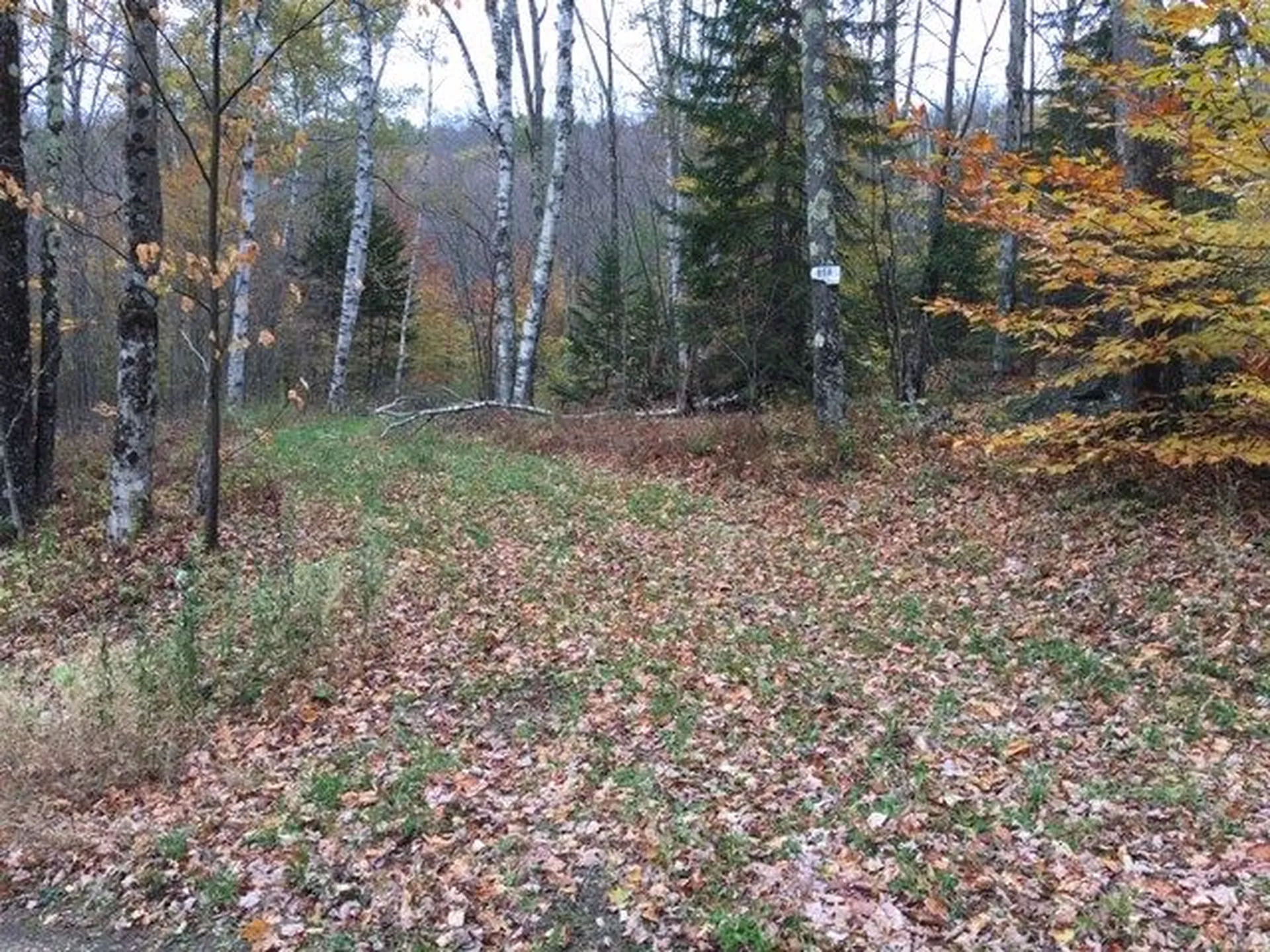 38 Laber Road Bridgewater VT 05034