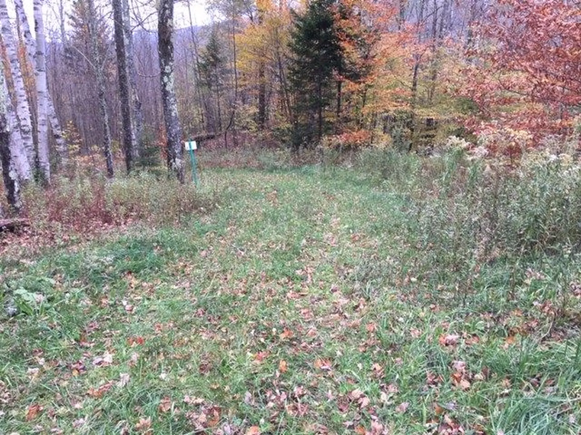 38 Laber Road Bridgewater VT 05034