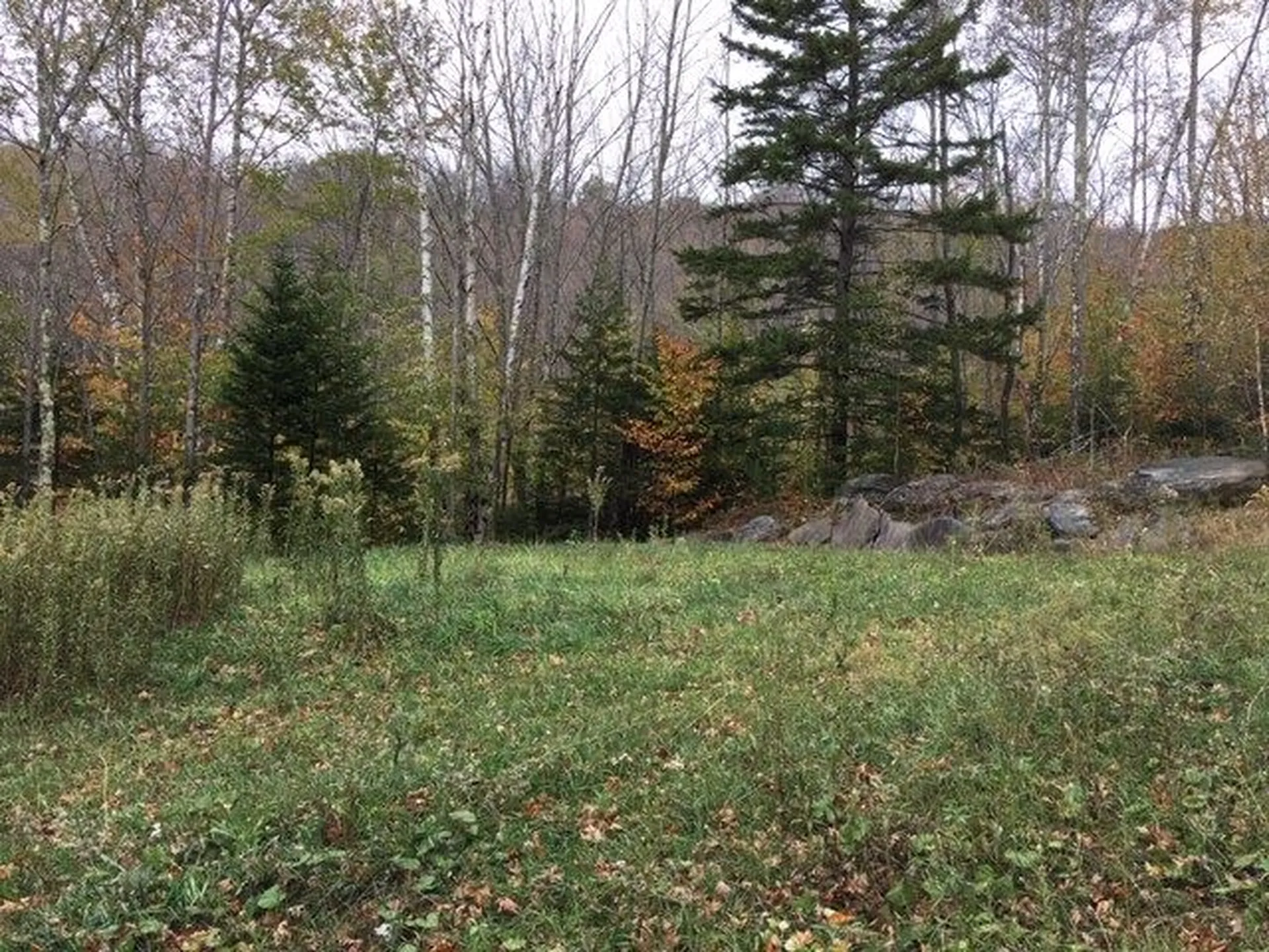 38 Laber Road Bridgewater VT 05034