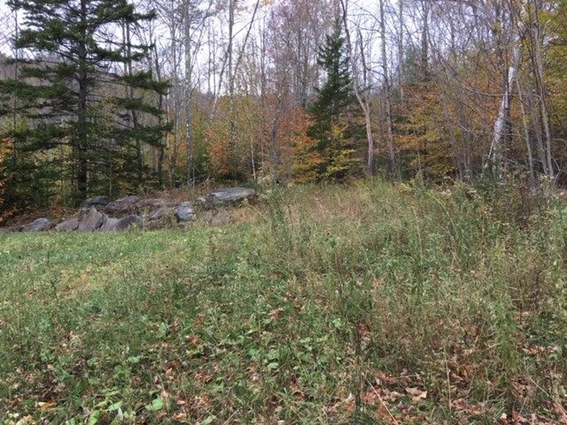 38 Laber Road Bridgewater VT 05034
