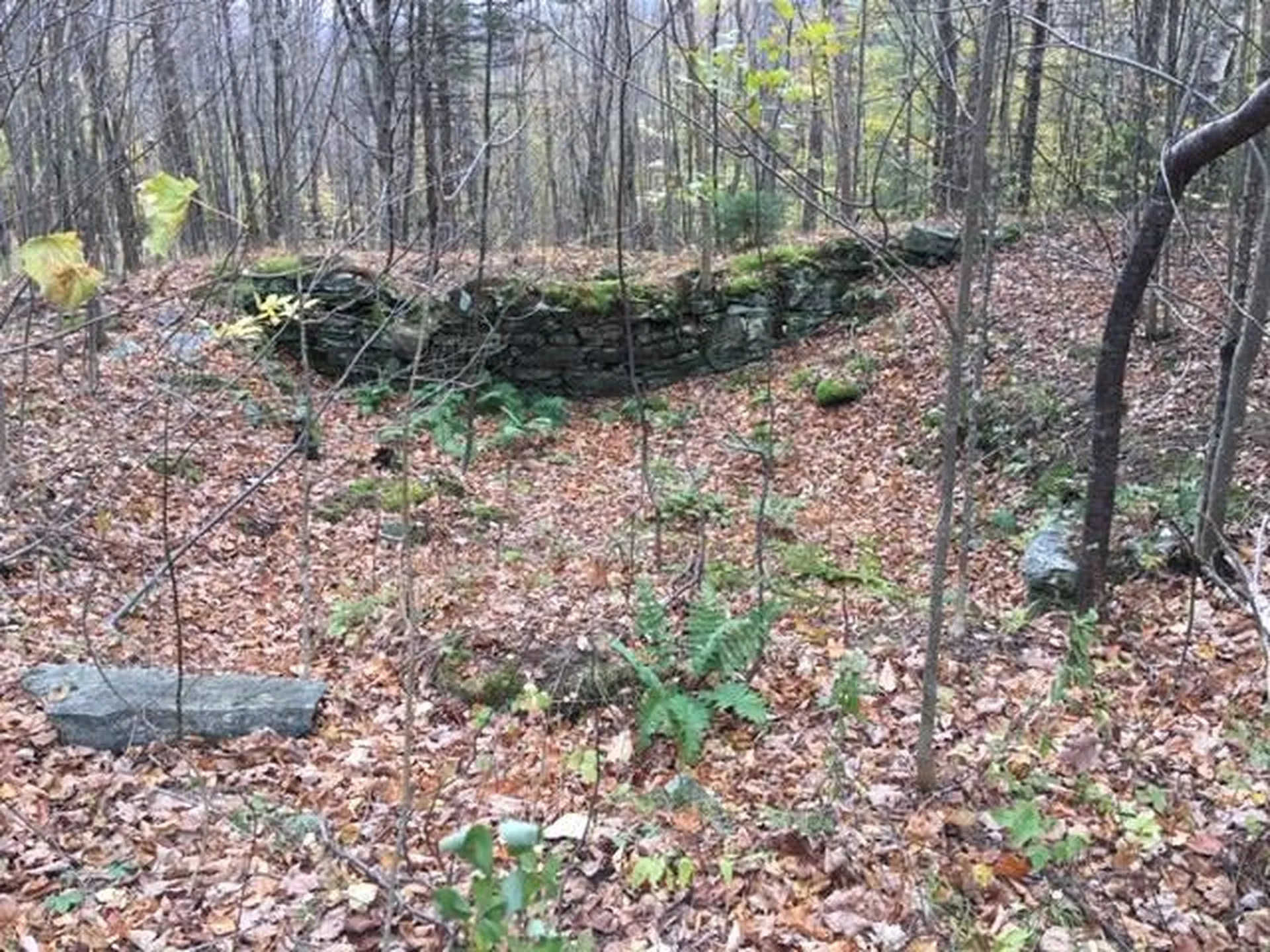 38 Laber Road Bridgewater VT 05034