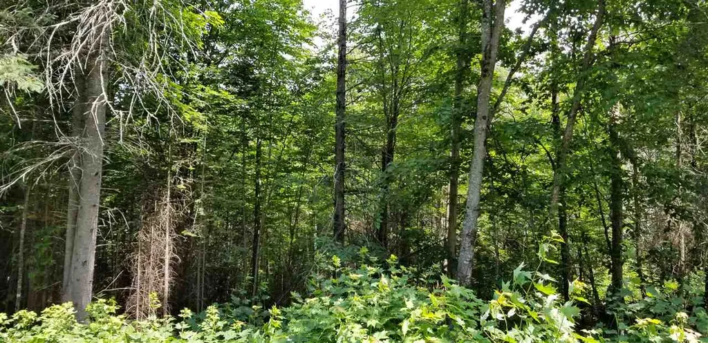 500 Morey Road Sutton VT 05867