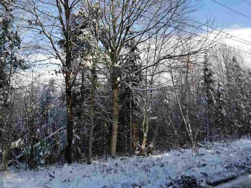 500 Morey Road Sutton VT 05867