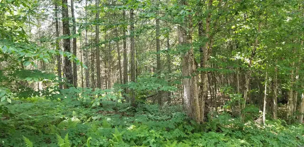 500 Morey Road Sutton VT 05867