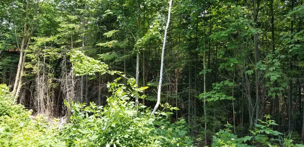 500 Morey Road Sutton VT 05867