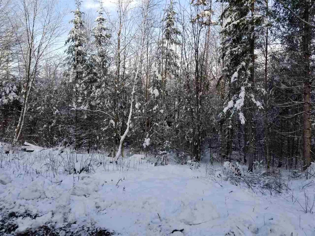 500 Morey Road Sutton VT 05867