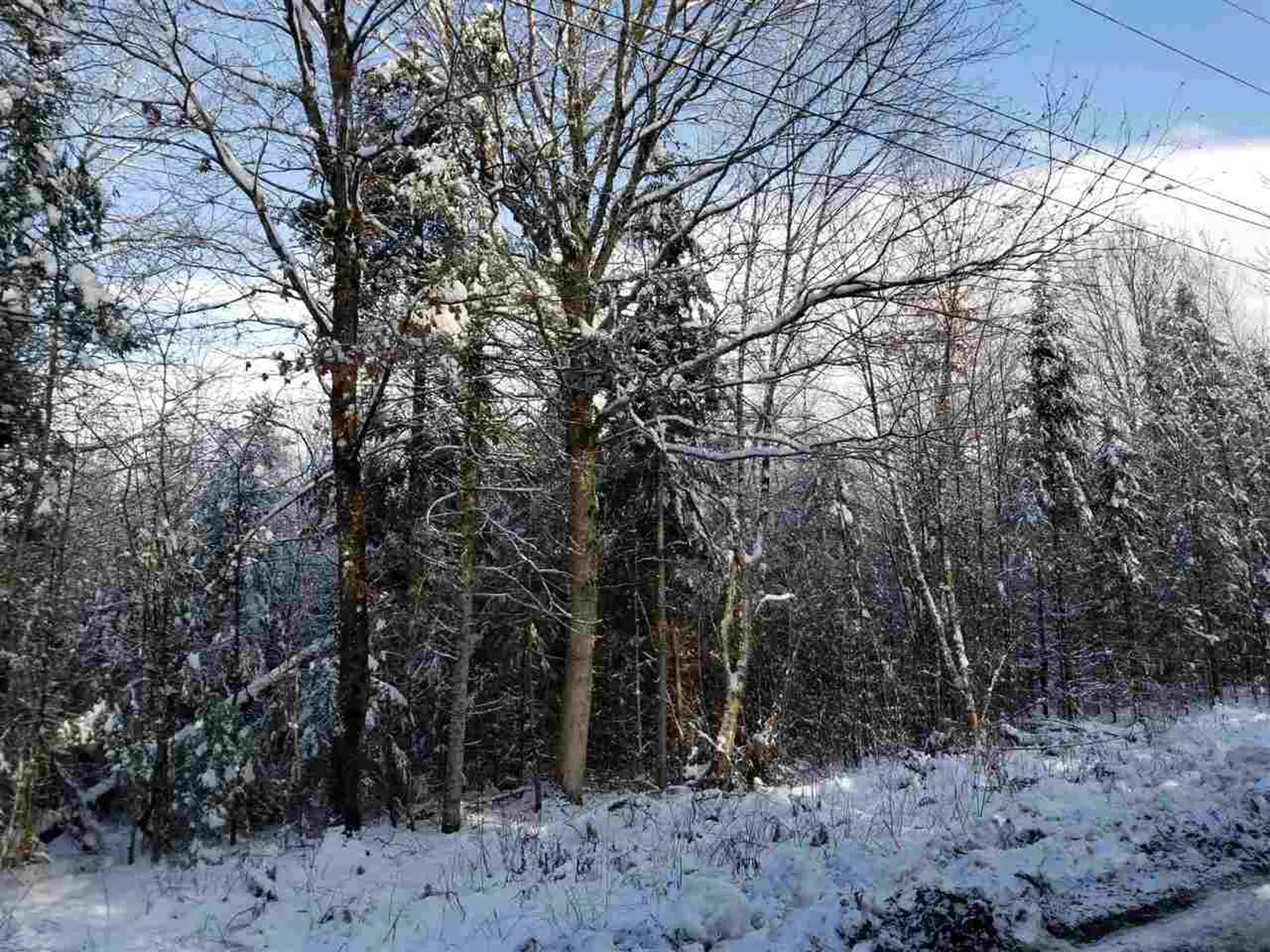 500 Morey Road Sutton VT 05867