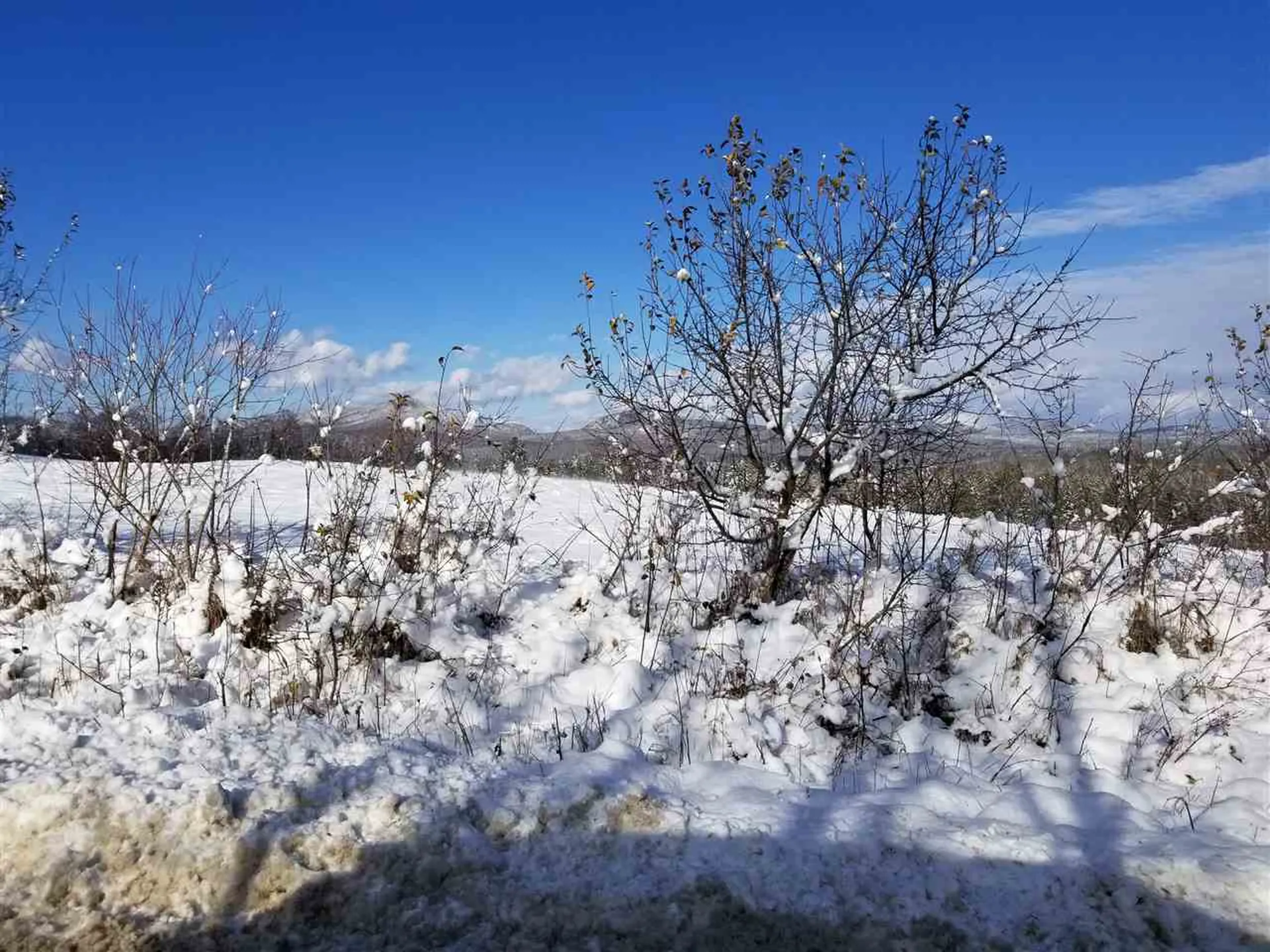 500 Morey Road Sutton VT 05867