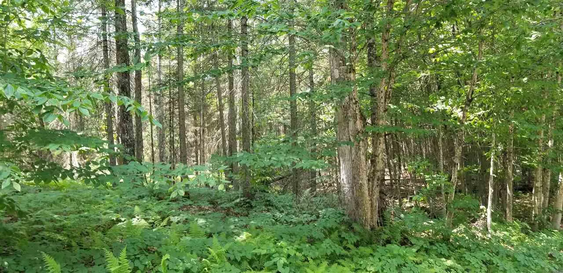 500 Morey Road Sutton VT 05867